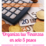 Organiza tus finanzas. Objetivos 2015 parte 13
